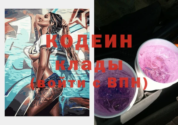 шишки Вязники