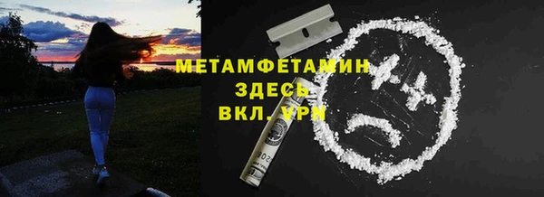 сатива Вяземский