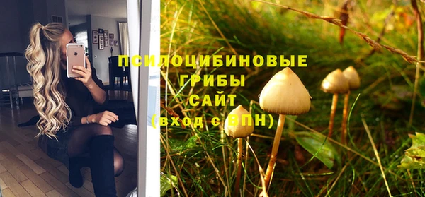 шишки Вязники