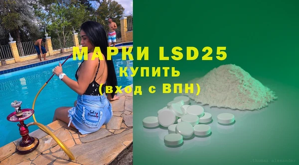 сатива Вяземский