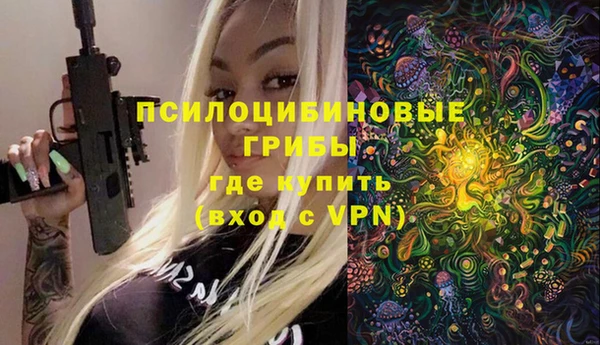сатива Вяземский