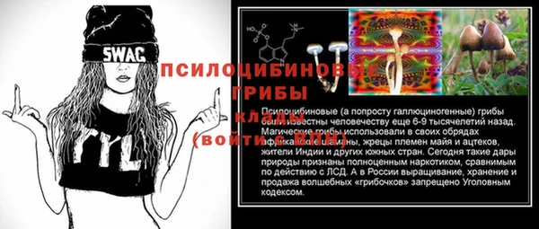 шишки Вязники