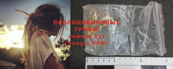 сатива Вяземский