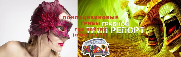шишки Вязники